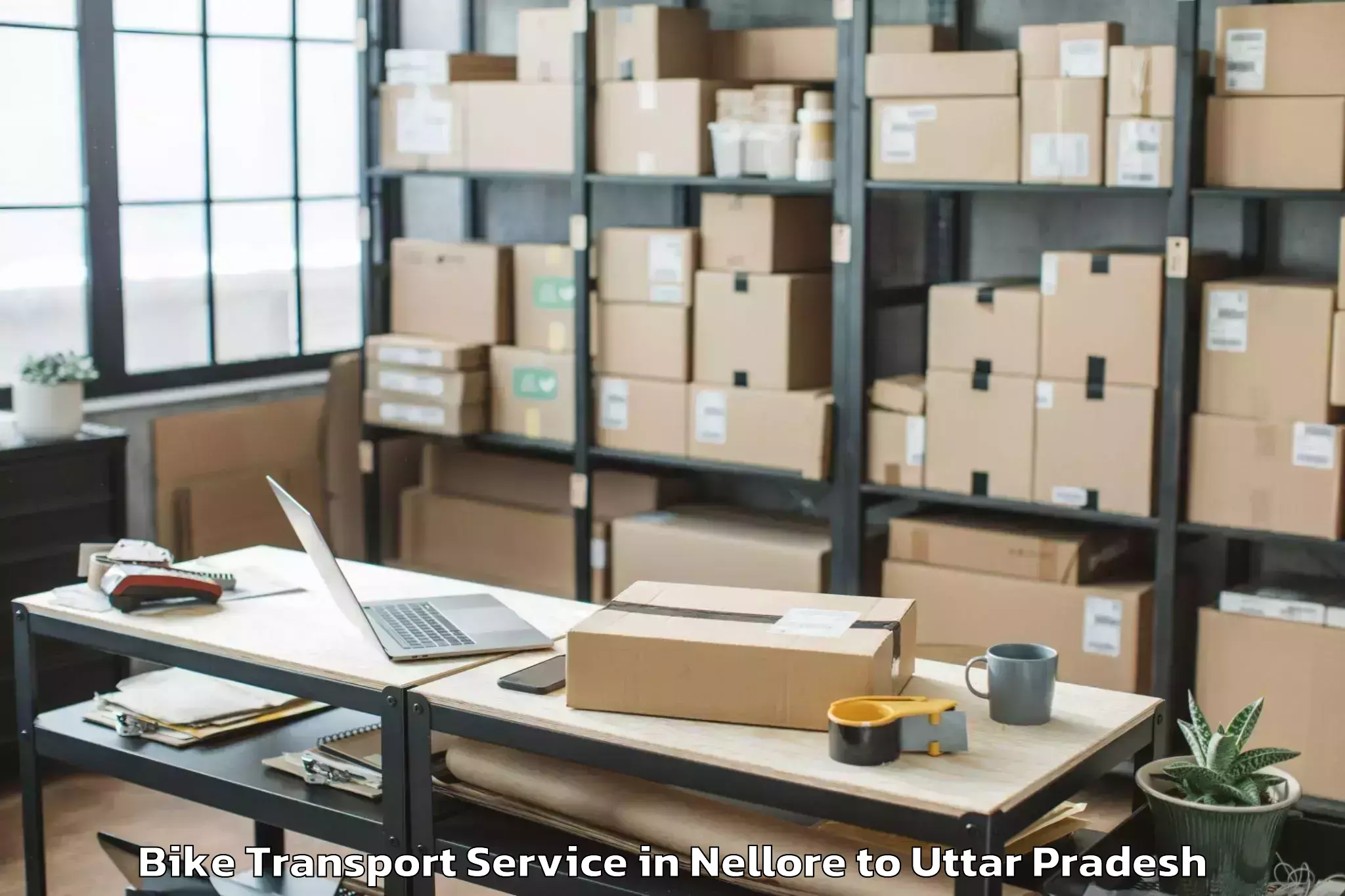 Leading Nellore to Phoenix United Mall Lucknow Bike Transport Provider